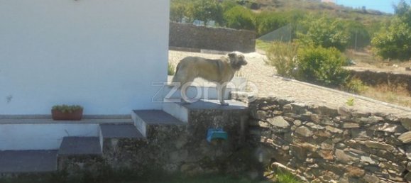 10 bedrooms House in Ervedosa do Douro, Portugal No. 84556 38