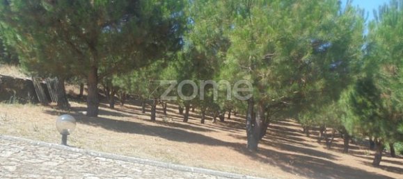 10 bedrooms House in Ervedosa do Douro, Portugal No. 84556 37