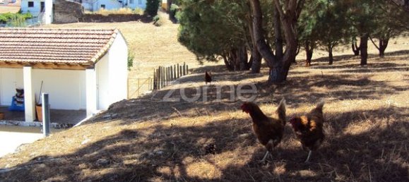 10 bedrooms House in Ervedosa do Douro, Portugal No. 84556 50