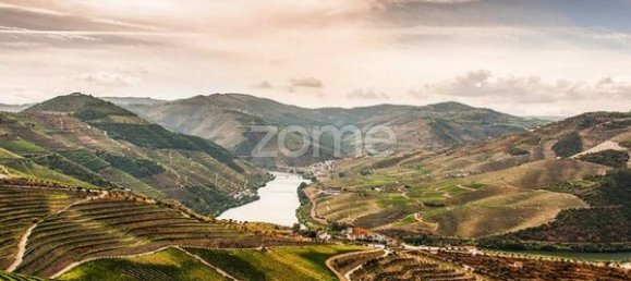 10 bedrooms House in Ervedosa do Douro, Portugal No. 84556 24