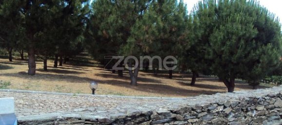 10 bedrooms House in Ervedosa do Douro, Portugal No. 84556 36