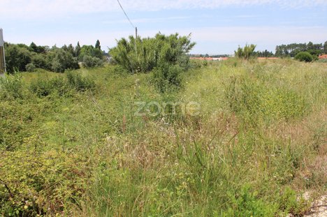 Terrain à Porto de Mos, Portugal 1950m² No. 71862