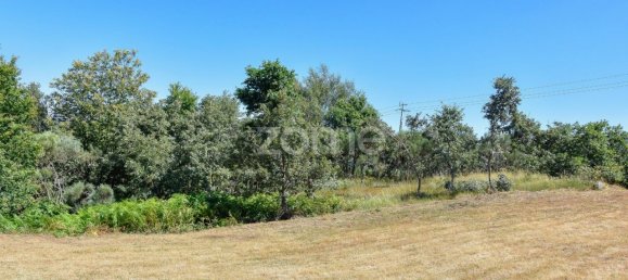 14150m² Land in Amarante, Portugal No. 15539 36