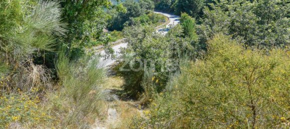 14150m² Land in Amarante, Portugal No. 15539 35