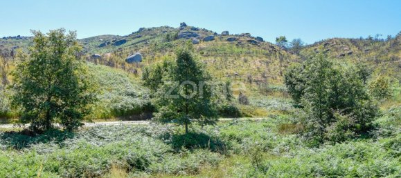 14150m² Land in Amarante, Portugal No. 15539 44