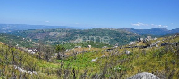 14150m² Land in Amarante, Portugal No. 15539 4