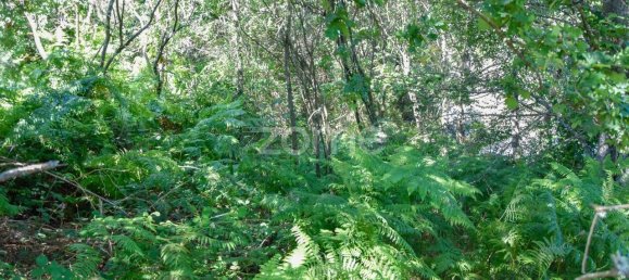 14150m² Land in Amarante, Portugal No. 15539 39