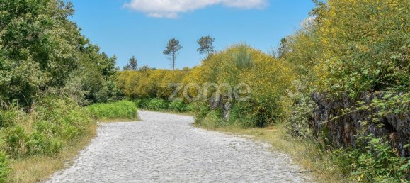 14150m² Land in Amarante, Portugal No. 15539 23