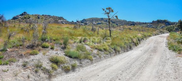 14150m² Land in Amarante, Portugal No. 15539 8