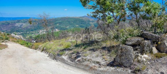 14150m² Land in Amarante, Portugal No. 15539 7