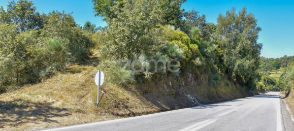 14150m² Land in Amarante, Portugal No. 15539 33