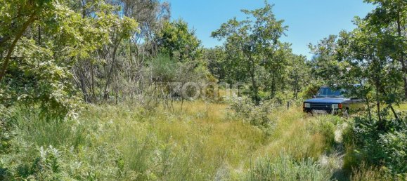 14150m² Land in Amarante, Portugal No. 15539 29