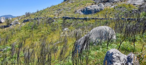 14150m² Land in Amarante, Portugal No. 15539 11