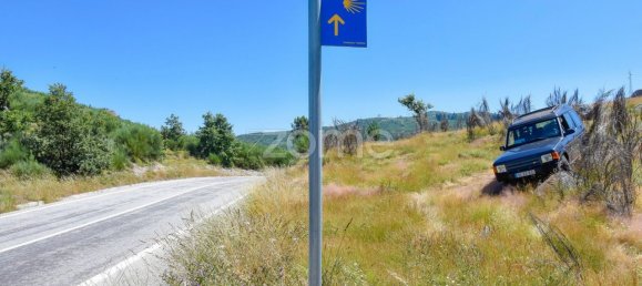 14150m² Land in Amarante, Portugal No. 15539 45