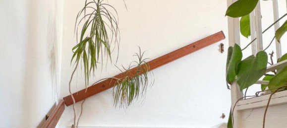 5-Zimmer Stadthaus in Traiskirchen, Austria, Nr. 251613 14