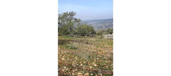 Grundstück in Loule, Portugal 5560m², Nr. 32842 10