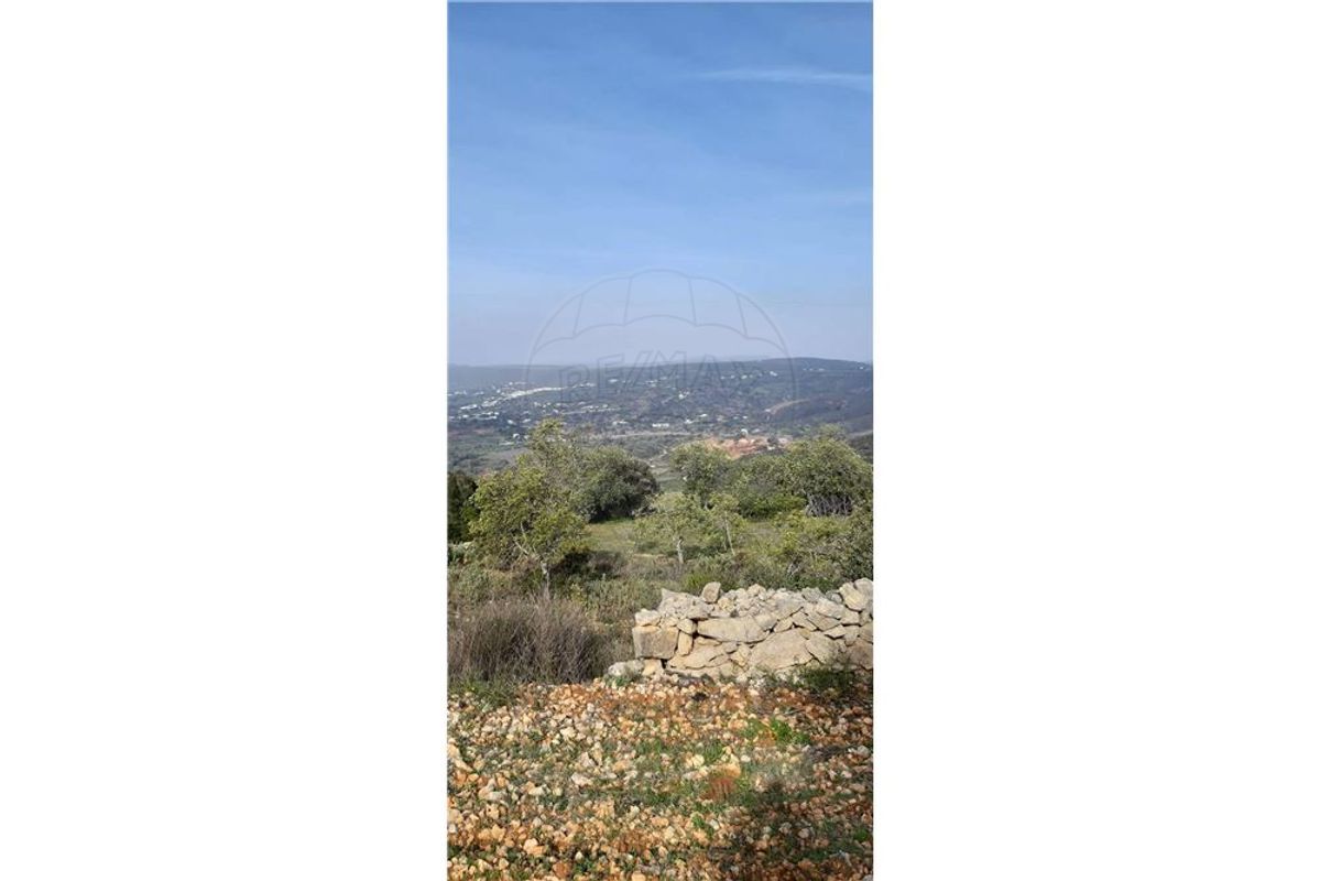 Grundstück in Loule, Portugal 5560m², Nr. 32842