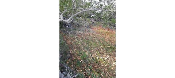 Grundstück in Loule, Portugal 5560m², Nr. 32842 14