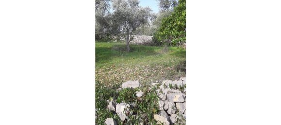 Grundstück in Loule, Portugal 5560m², Nr. 32842 9