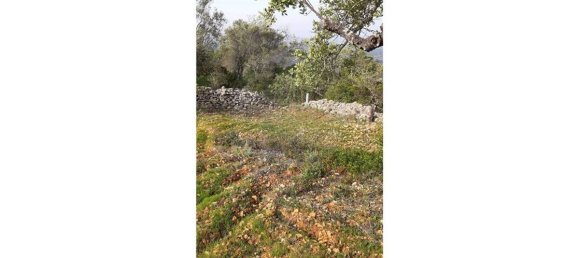 Grundstück in Loule, Portugal 5560m², Nr. 32842 11