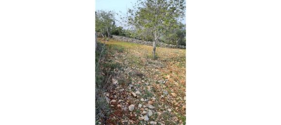 Grundstück in Loule, Portugal 5560m², Nr. 32842 18