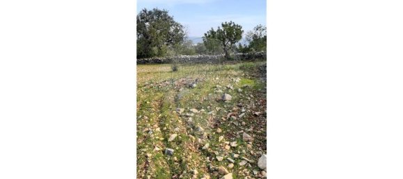 Grundstück in Loule, Portugal 5560m², Nr. 32842 12