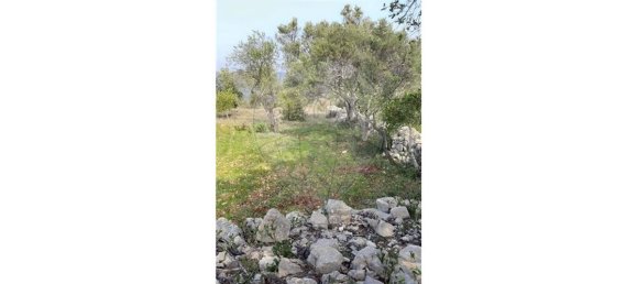 Grundstück in Loule, Portugal 5560m², Nr. 32842 13