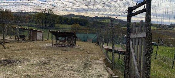 1 room Land in Traversetolo, Italy No. 5663 8