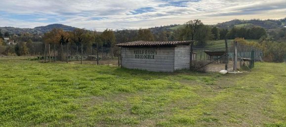 1 room Land in Traversetolo, Italy No. 5663 36