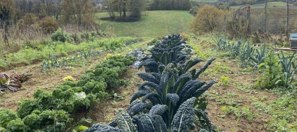 1 room Land in Traversetolo, Italy No. 5663 34