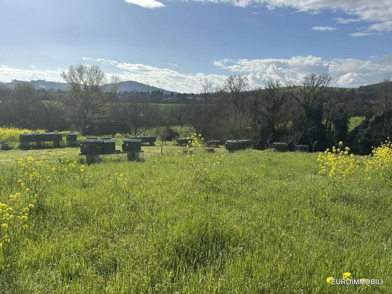 1 room Land in Traversetolo, Italy No. 5663