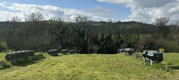 1 room Land in Traversetolo, Italy No. 5663 22