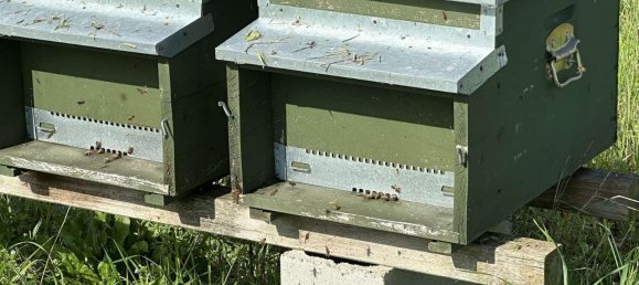 1 room Land in Traversetolo, Italy No. 5663 17