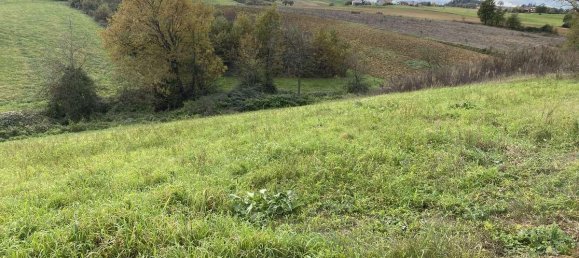 1 room Land in Traversetolo, Italy No. 5663 35