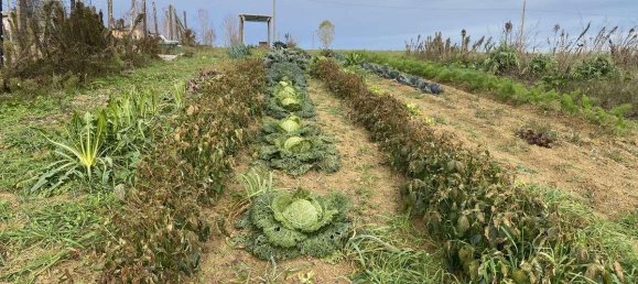 1 room Land in Traversetolo, Italy No. 5663 32