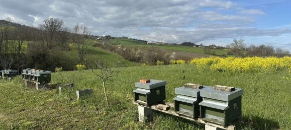 1 room Land in Traversetolo, Italy No. 5663 16