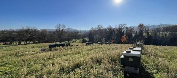 1 room Land in Traversetolo, Italy No. 5663 37