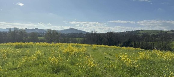 1 room Land in Traversetolo, Italy No. 5663 23