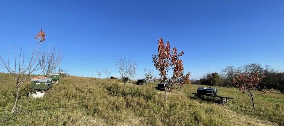 1 room Land in Traversetolo, Italy No. 5663 10