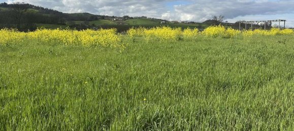 1 room Land in Traversetolo, Italy No. 5663 19