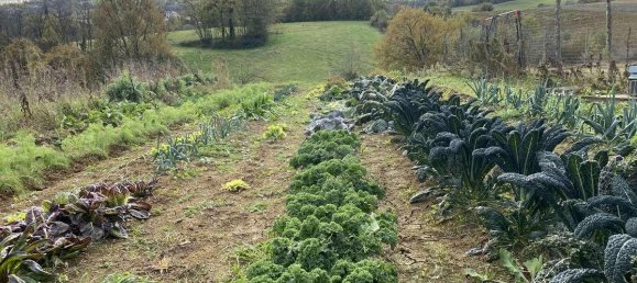 1 room Land in Traversetolo, Italy No. 5663 28