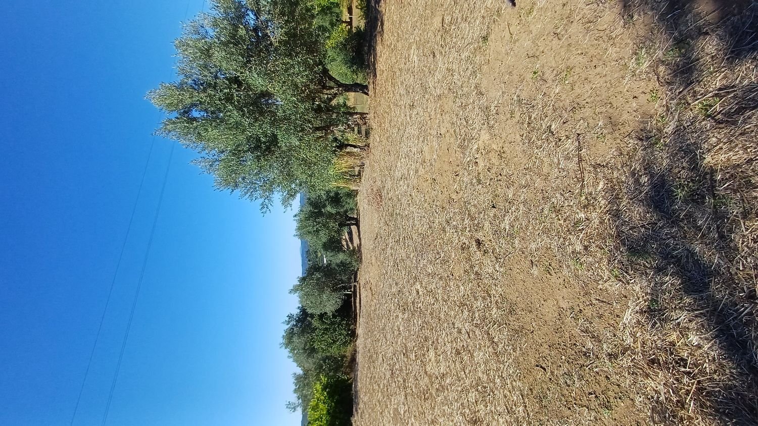  Land in Tomar, Portugal No. 193985