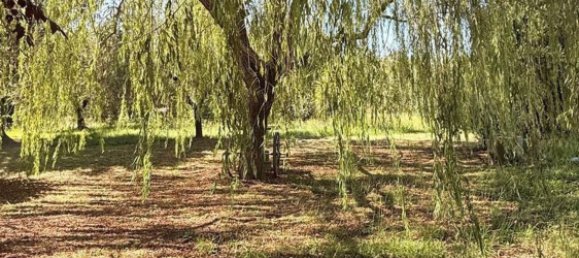 Дом с 9 комнатами в Капаннори, Италия № 307180 20