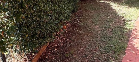 Дом с 9 комнатами в Капаннори, Италия № 307180 21