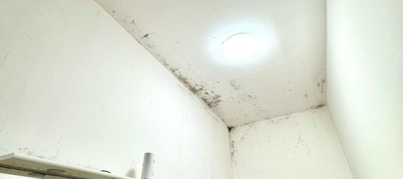 3-salle Appartement à Nettuno, Italy No. 297261 10