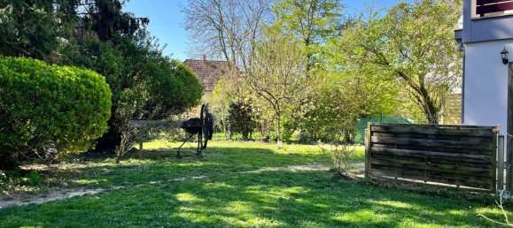 1 bedroom Apartment in Ostwald, France No. 41782 4