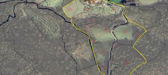 Propriété commerciale à Greve in Chianti, Italy 1366m² No. 193878 41