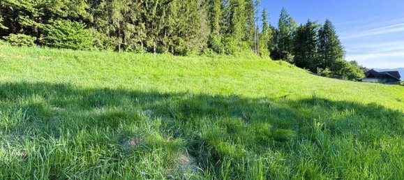 Terrain à Liezen, Austria No. 98254 3