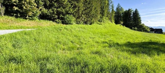 Terrain à Liezen, Austria No. 98254 7