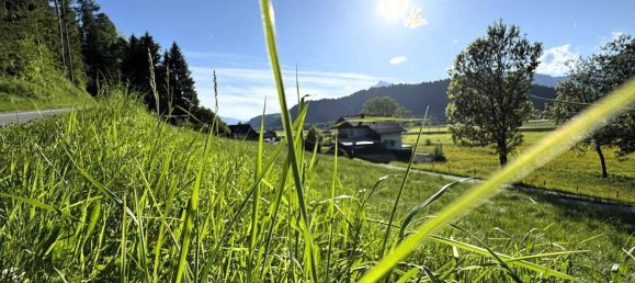 Terrain à Liezen, Austria No. 98254 5